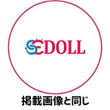 TPE製ラブドール SEDOLL 163cm Eカップ 77ヘッド