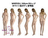 TPE製ラブドール WM Dolls ボディのみ専用販売ページ 頭部無し