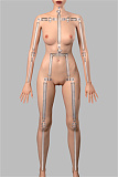 J-cute 137cm AAカップ GB28ハニー リアル風ダッチワイフ 黒瞳の少女 ブラウンロングヘア フルシリコン製