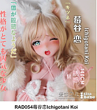 Elsa Babe AHR018 莫莉ヘッド 130cm 爆乳 ピンクヘア バニーガールスタイル セクシー二次元美少女 フルシリコン製ラブドール 宣伝画像は130cm L ピンク肌