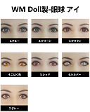 【即納・国内在庫品・送料無料】TPEラブドール 専用眼球 アイ 1セット売りEYE 目 身長100cm以上のドール用 Wmdoll工場採用品