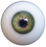 シリコン製ラブドール JY Doll Heads 頭部のみ ヘッド単体