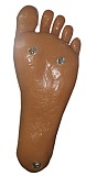 TPE製ラブドール Jarliet Doll 163cm Cカップ 柚木