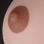 TPE製ラブドール AXB Doll 100cm ＃48 small breast