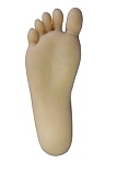 TPE製ラブドール Sanhui Doll 145cm Cカップ #T2ヘッド