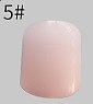 TPE製ラブドール Qita Doll 160m Bカップ #58 韓国女優彩彬
