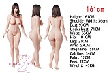TPE製ラブドール Irontech Doll 161cm Fカップ Miki