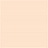 女優天使もえヘッド Real Girl (B工場製) 頭部単品 TPE製ヘッド M16ボルト採用 職人メイク選択可能