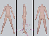 フルシリコン製ラブドール WAXDOLL 新型 142cm 貧乳  #G50ヘッド リアルメイク付き