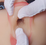 TPE製ラブドール WM Dolls 156cm B-cup #355 ELF ears