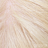 Jiusheng Doll ラブドール 162cm Eカップ #3頭部 TPE材質ボディー ヘッド材質選択可能 身長など選択可能