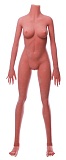 Cosdoll正規品 ラブドール 155cm Bカップ #7ヘッド TPEヘッド限定 身長など選択可能 カスタマイズ可能