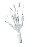 Cosdoll正規品 ラブドール 168cm Gカップ #16ヘッド 軟性・硬性シリコンヘッド及び身長など選択可能 カスタマイズ可能
