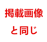 D7ヘッド 148cm普通乳 Cカップ ラブドール DOM DOLL ヘッド及びボディー材質選択可能 カスタマイズ可 ●宣材写真はフルシリコン材質