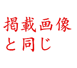 Only Love ラブドール 158cm巨乳 #6 高級シリコン頭部+TPE材質ボディ 身長など選べる