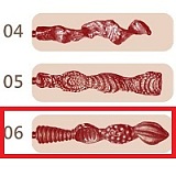 TPE製ラブドール PiperDoll  130cm Phoebe D-cup シームレス ECO版