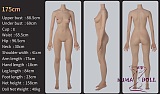 フルシリコン製 欧米ラブドール ZELEX（元WAXDOLL）新型 175cm Eカップ #GE98-1 ヘッド リアルメイク付き