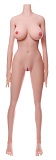 Cosdoll正規品 ラブドール 170cm 巨乳 #29ヘッド 軟性・硬性シリコンヘッド及び身長など選択可能 カスタマイズ可能