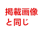 口開閉機能付き リアルな口腔無料 Real Girl D5ヘッド 軟質シリコン製 可愛い 女性ヘッド ラブドールの頭 頭部単品 ヘッド単体 M16ボルト採用 140-170CM身長適用 職人メイク 塗装済み