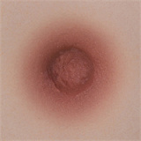 Yearndoll ラブドール 【通常版】162cm Iカップ Y1 ヘッド オーラル機能付き ダッチワイフ シリコン製ヘッド  等身大セックス人形