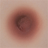 Yearndoll ラブドール 【通常版】162cm Iカップ Y1 ヘッド オーラル機能付き ダッチワイフ シリコン製ヘッド  等身大セックス人形