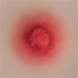 Yearndoll ラブドール 【通常版】162cm Iカップ Y1 ヘッド オーラル機能付き ダッチワイフ シリコン製ヘッド  等身大セックス人形