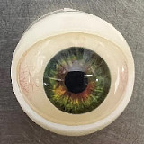 Yearndoll ラブドール 【通常版】162cm Iカップ Y1 ヘッド オーラル機能付き ダッチワイフ シリコン製ヘッド  等身大セックス人形