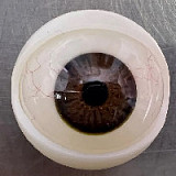 Yearndoll ラブドール 【通常版】162cm Iカップ Y1 ヘッド オーラル機能付き ダッチワイフ シリコン製ヘッド  等身大セックス人形