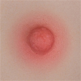 Yearndoll ラブドール 【通常版】162cm Iカップ Y1 ヘッド オーラル機能付き ダッチワイフ シリコン製ヘッド  等身大セックス人形