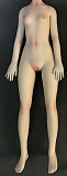 Mini Doll ミニドール セックス可能 58cm普通乳 BJD Liliヘッド 53cm-75cm身長選択可能