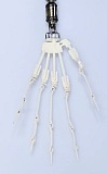 フルシリコン製ラブドール Irontech Doll 166cm Minus Cカップ S17ヘッド Minus