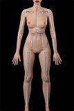 フルシリコン製 ラブドール ZELEX（元WAXDOLL） 新型 170cm #GE124-1ヘッド リアルメイク付き ダッチワイフ