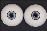 TPE製ラブドール WM Dolls 164cm D-Cup #355 ELF ears