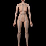 フルシリコン製ラブドール WAXDOLL 新型 120cm バスト平 #G34ヘッド歯付き リアルメイク付き