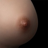 フルシリコン製ラブドール ZELEX（元WAXDOLL） 新型 165cm Fカップ GE141＿1ヘッド Sweet Girl