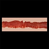 フルシリコン製ラブドール ZELEX（元WAXDOLL） 新型 165cm Fカップ GE141＿1ヘッド Sweet Girl