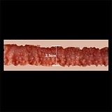 フルシリコン製ラブドール ZELEX（元WAXDOLL） 新型 165cm Fカップ GE141＿1ヘッド Sweet Girl