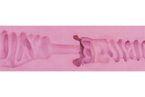 フルシリコン製ラブドール Angel kiss 150cm Cカップ #27 ヘッド