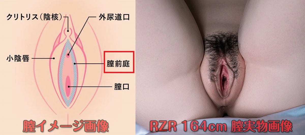 RZRDOLL 164cm 膣構造