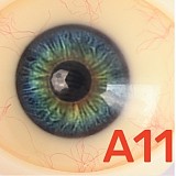 【10%OFF実施中！カートに入れると割引後の価格をご確認いただけます】My Loli Waifu 138cm AAカップ Kisa希咲ヘッド TPE材質ボディ+シリコンヘッド リアルドール