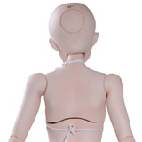 GUAVADOLL 160cm Cカップ  PVC製 アニメドール 球体関節 ボディ単体 ボディのみ