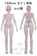 GUAVADOLL 160cm Cカップ  PVC製 アニメドール 球体関節 ボディ単体 ボディのみ