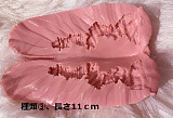 RZR Doll フルシリコン製ラブドール No.21 164cm Eカップ 媚娘（JOEY ）ヘッド Delux-究極版&普通版選択可「R」シリーズ 【膣前庭】構造あり タレント似