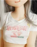 色気美人 Irokebijin 152cm Cカップ Arisa オーラル可能 S-TPE製 カスタマイズ品 アニメラブドール