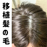 J-cute フルシリコン製 149cm バスト平 AGD10陽葵（ひまり）ヘッド 可愛いドール LL団 シルバービキニ 猫耳