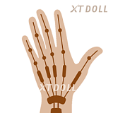 フルシリコン製 XTDOLL 157cm Dカップ  Meng ling (XT-bym16-B) ヘッド まぶたの開閉機能付き ラブドール 等身大ドール 軽量化仕様あり ピンクのボブヘア