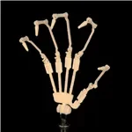色気美人 Irokebijin  S-TPE製 カスタマイズ品 ラブドール 120cm Dカップ バスト中 Akari オーラル可能