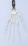 MOZU DOLL 130cm 苗苗（Miaomiao）ヘッド バスト大 ビニール製頭部＋TPE製 ボディ 肌色＆眼球色＆メイク＆ウィッグ＆衣装は宣材写真と同じ ライトグリーンのストライプシャツ