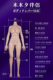 sexy real doll