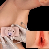 Real Lady 150cm Eカップ T4ヘッド 超擬真 テクスチャー 等身大ドール ダッチワイフ ピンクのツインテール